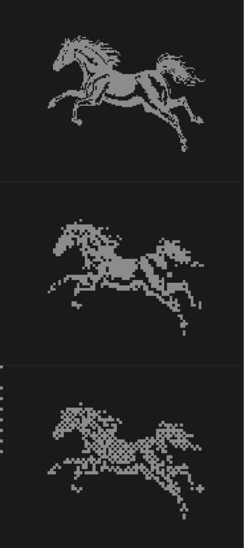 Horse illustrations